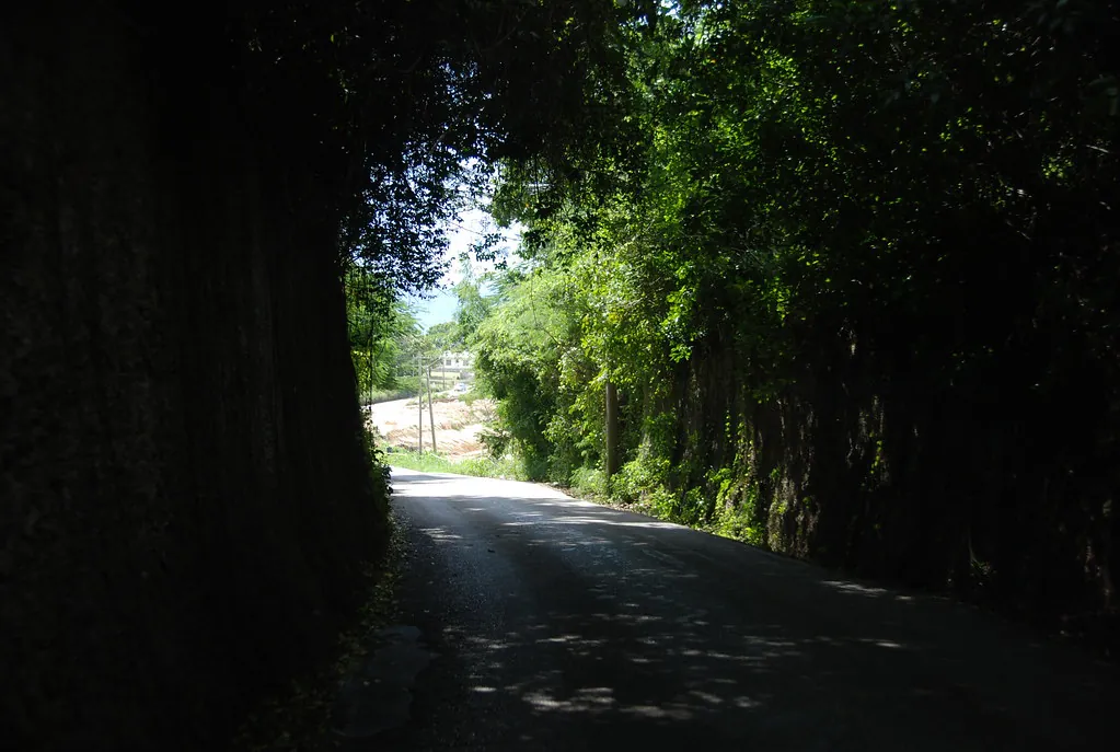 Barbados roadway carved through coral