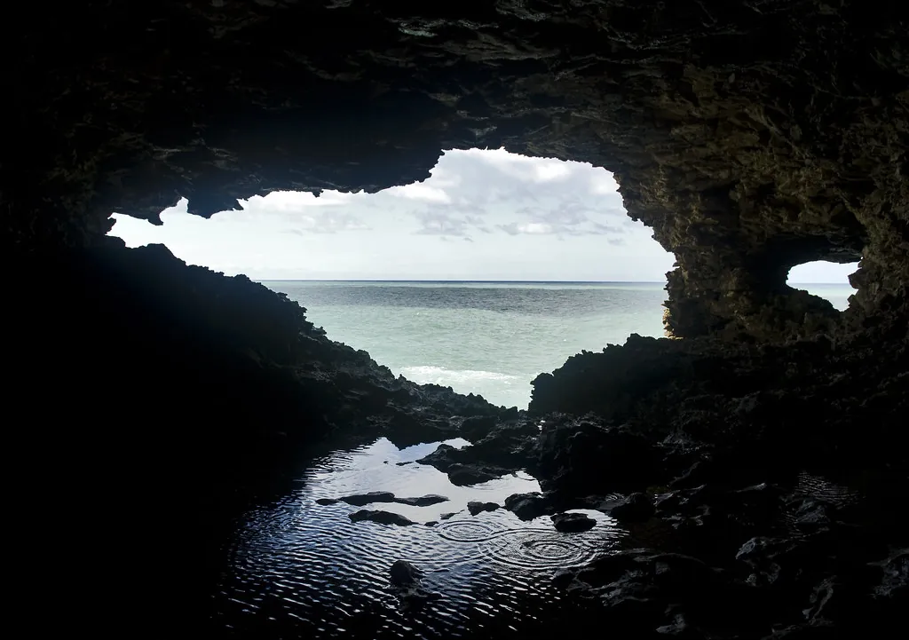 View from The Animal Flower Cave, Barbados