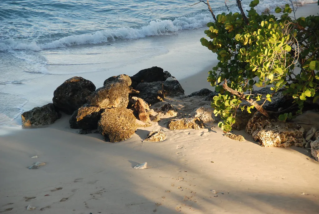 Barbados rock formation in early morning