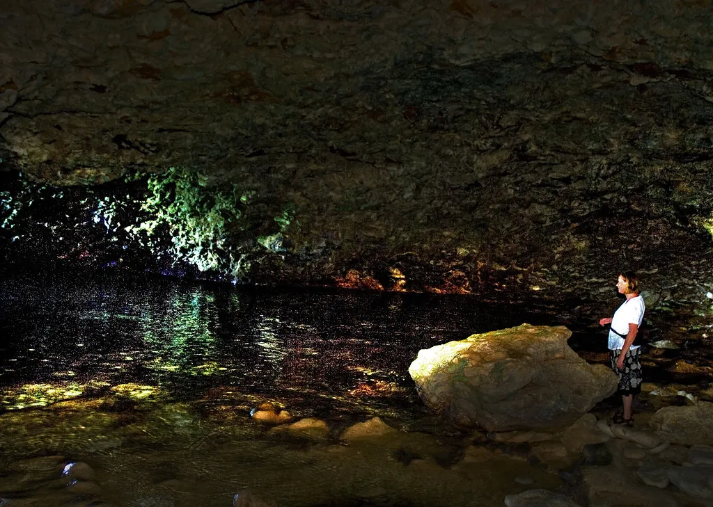 The animal flower cave, Barbados
